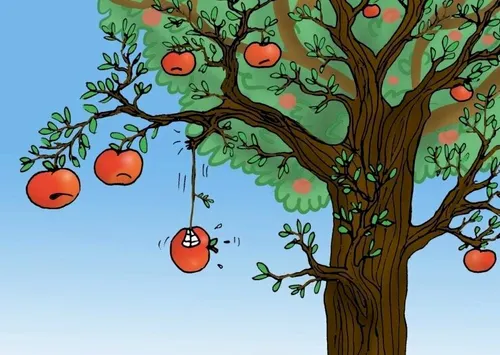 Fruits Vocabulary